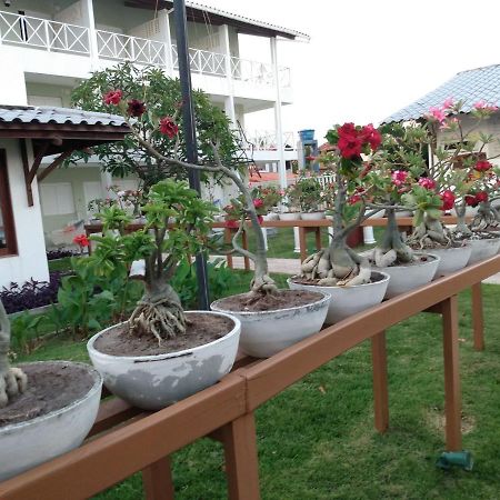 Brisamar Hotel Pousada Barra de Sao Miguel Εξωτερικό φωτογραφία